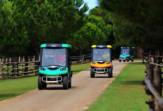 Island Touring with Electric Cars